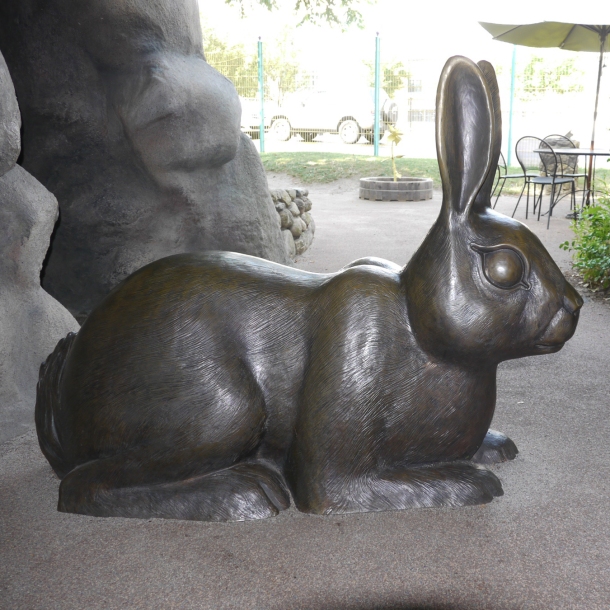 rabbit6crop